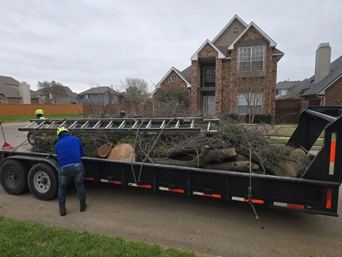 Expert Tree Fertilization with proper safety equipment in Cheraw